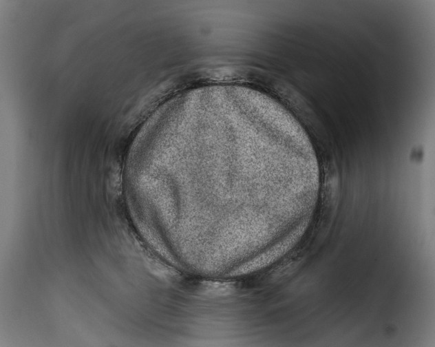 X0000115010469200911231231