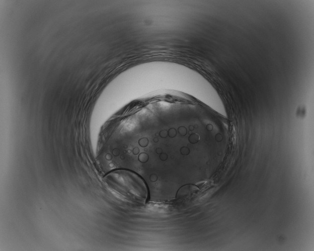 X0000115010471200911231231