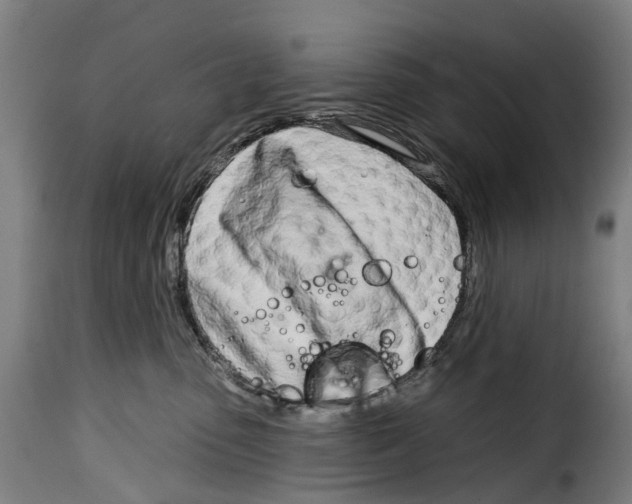 X0000115010475200911231231