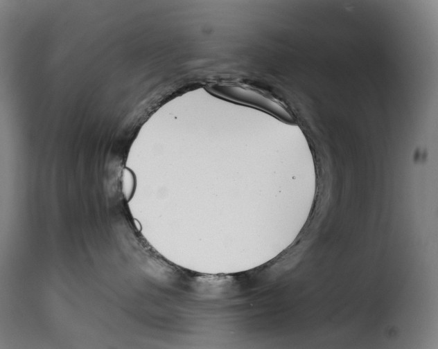 X0000115010480200911231231