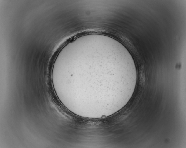 X0000115010484200911231230