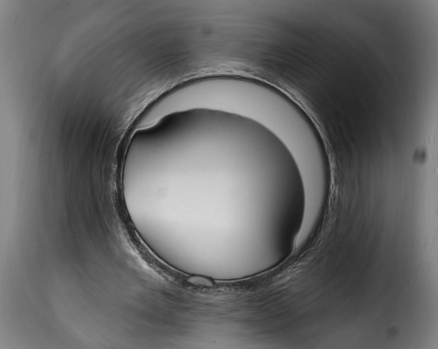 X0000115010485200911231230