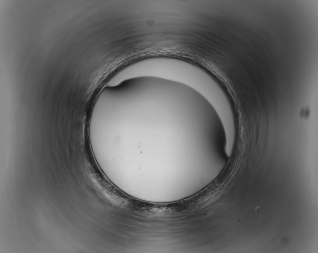 X0000115010493200911231230