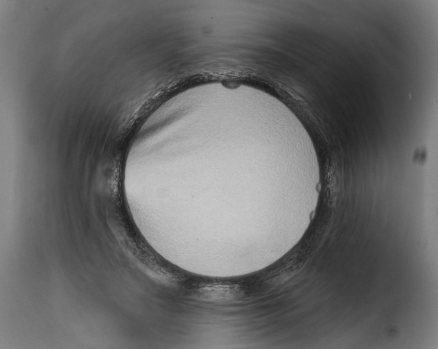 X0000115010499200911231230