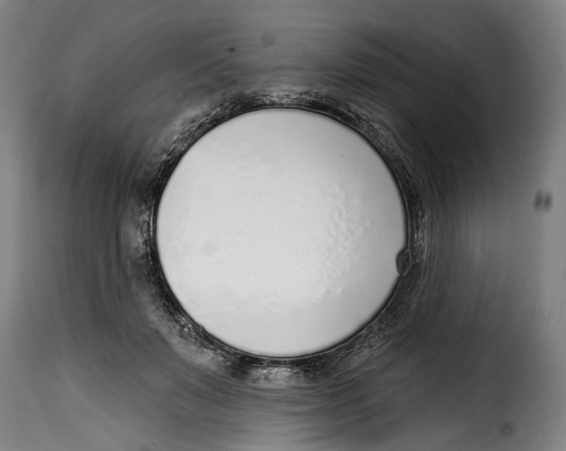 X0000115010503200911231230