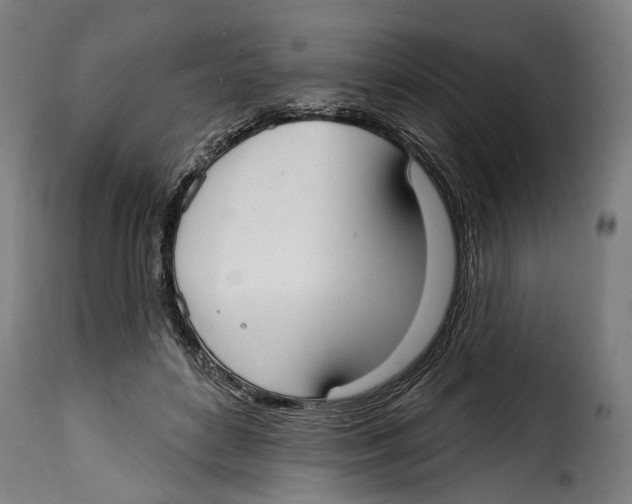 X0000115010504200911231230