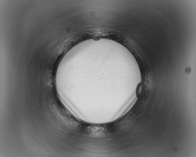 X0000115010512200911231230
