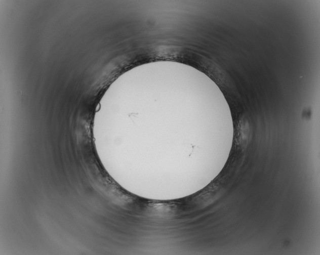 X0000115010522200911231230