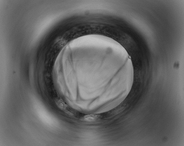 X0000115010526200911231230