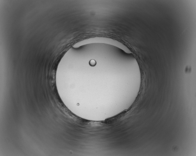 X0000115010528200911231229