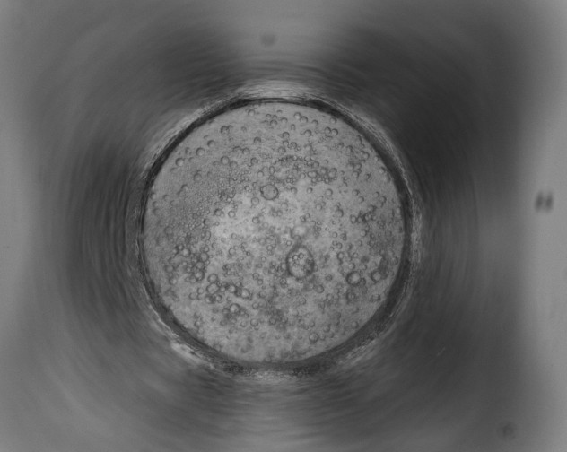X0000115010529200911231229