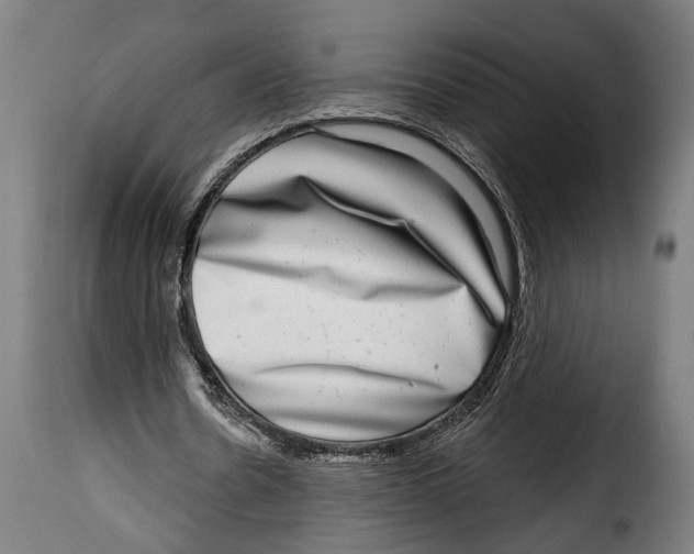 X0000115010530200911231229