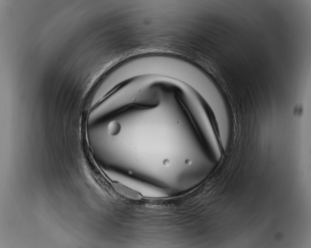 X0000115010534200911231229