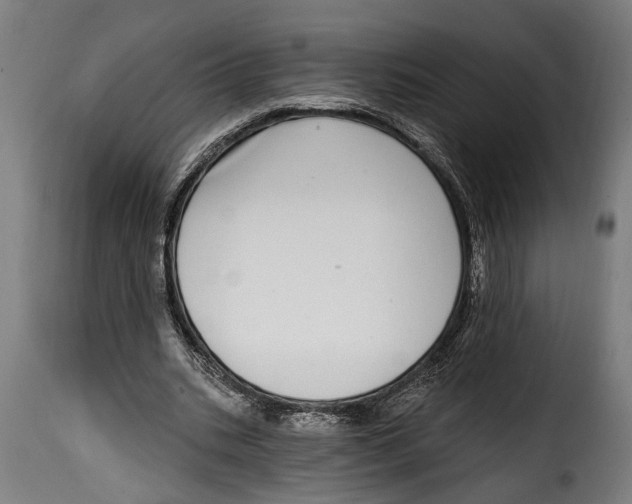 X0000115010535200911231229