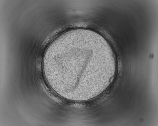 X0000115010537200911231229