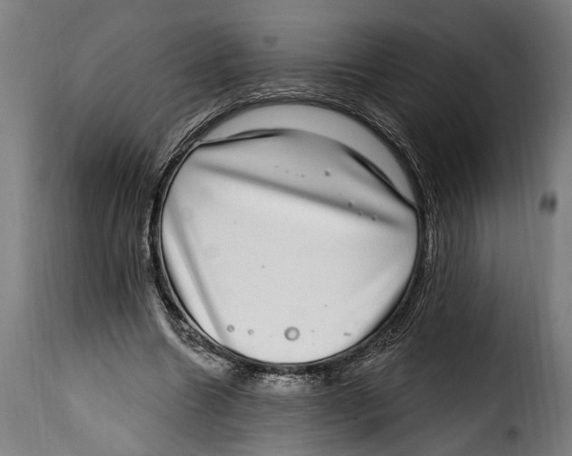 X0000115010538200911231229