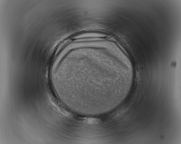 X0000115010539200911231229