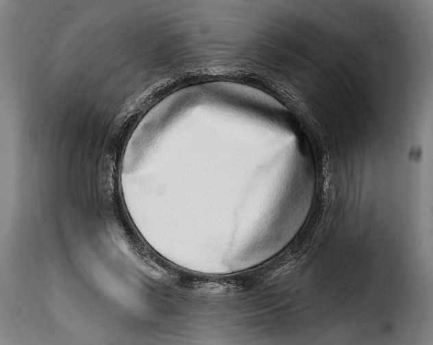 X0000115010542200911231229