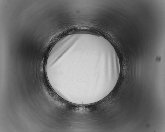 X0000115010543200911231229