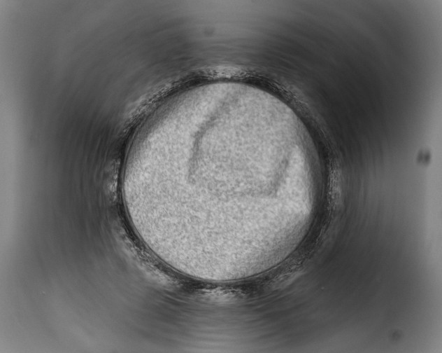 X0000115010545200911231229