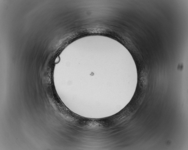 X0000115010547200911231229