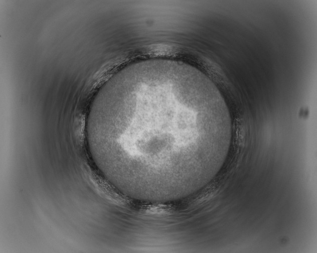 X0000115010550200911231229