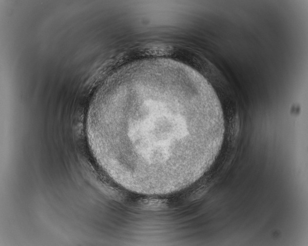 X0000115010553200911231229