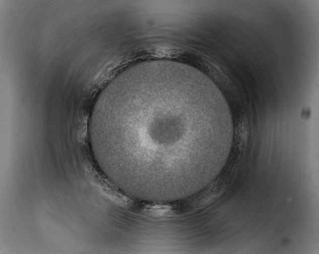 X0000115010554200911231229