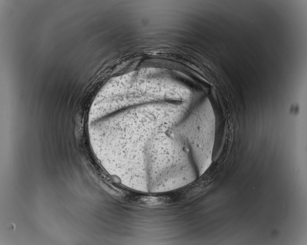 X0000115010558200911231229