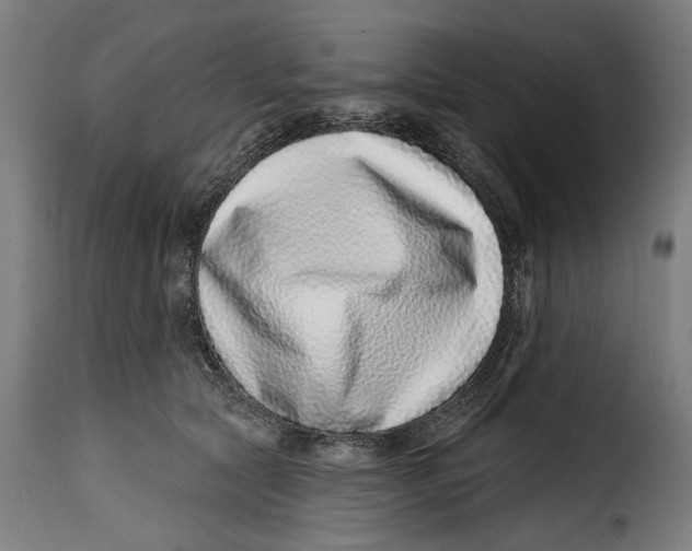 X0000115010561200911231229