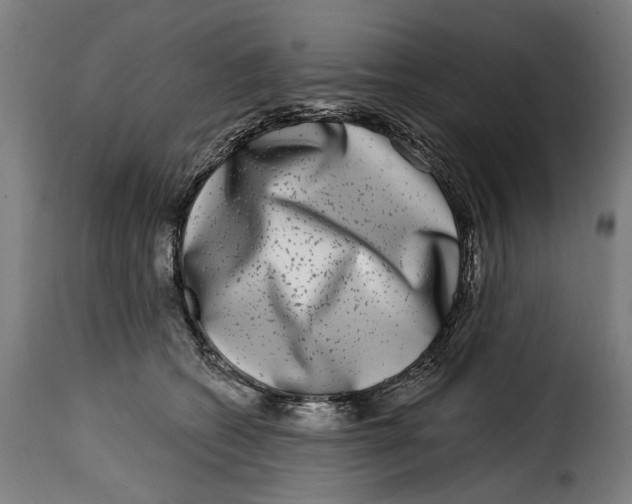 X0000115010562200911231229
