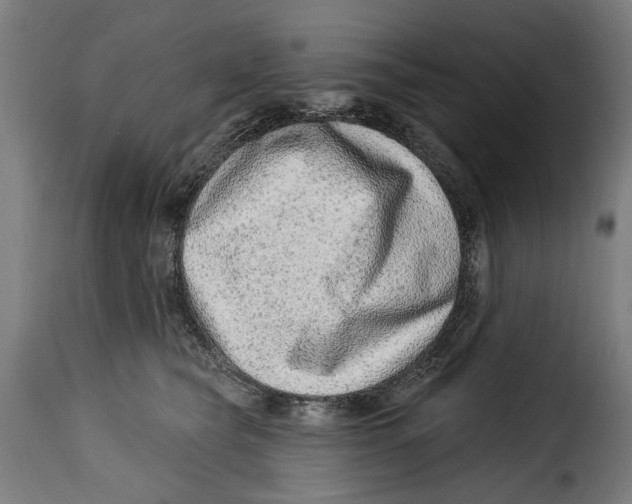 X0000115010565200911231229