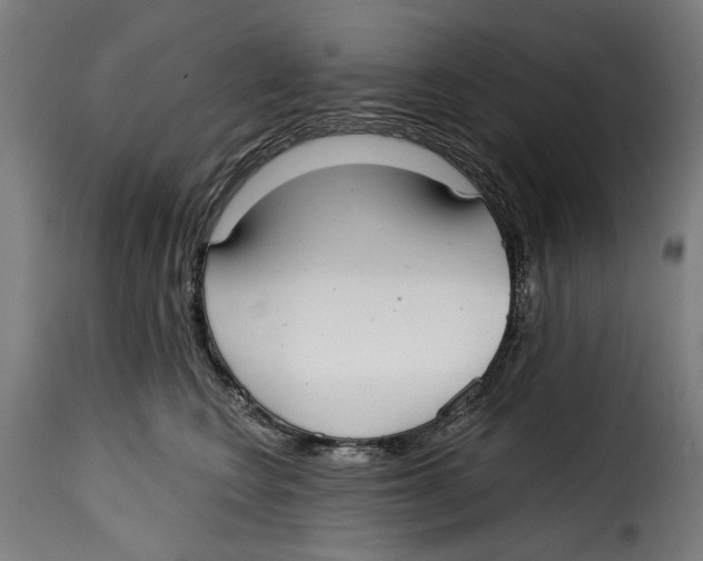 X0000115010566200911231229
