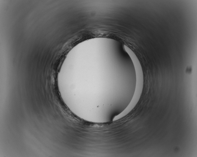 X0000115010570200911231229
