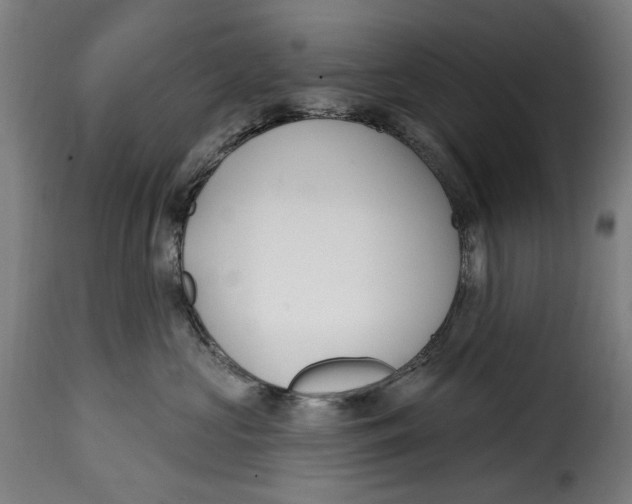X0000115010573200911231229