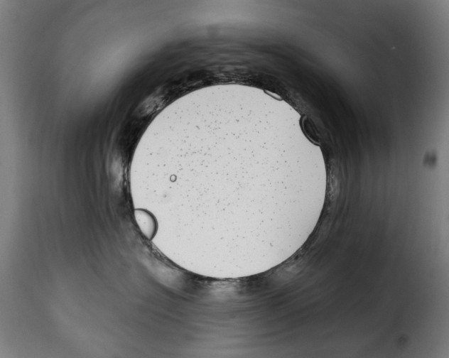 X0000115010574200911231229