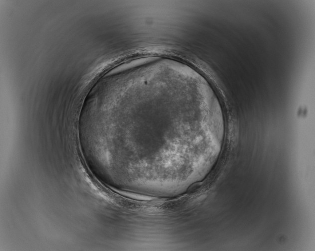 X0000115010577200911231229