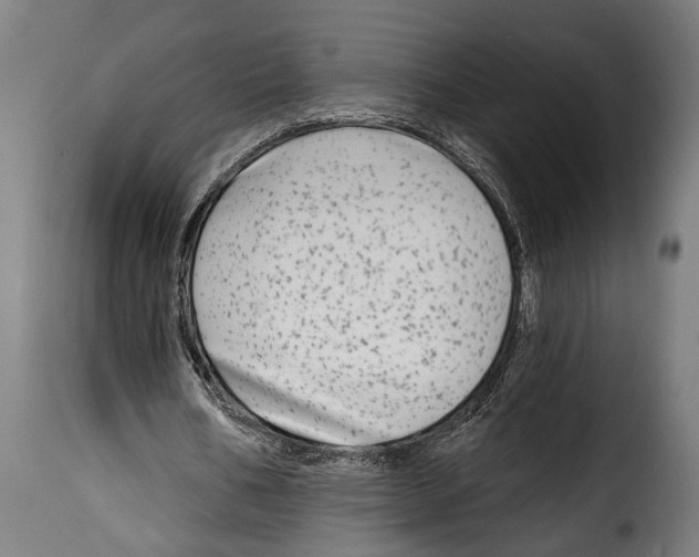 X0000115010578200911231229