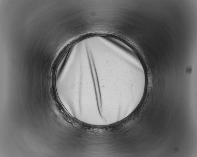 X0000115010580200911231229