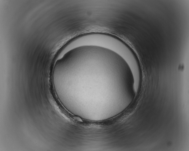 X0000115010581200911231229