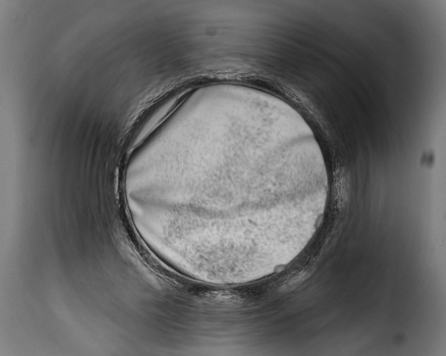 X0000115010589200911231229