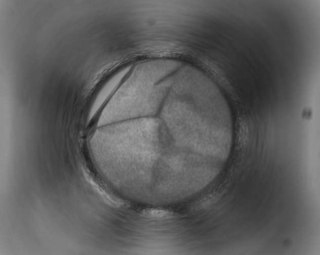 X0000115010590200911231229