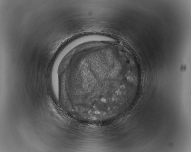 X0000115010592200911231229