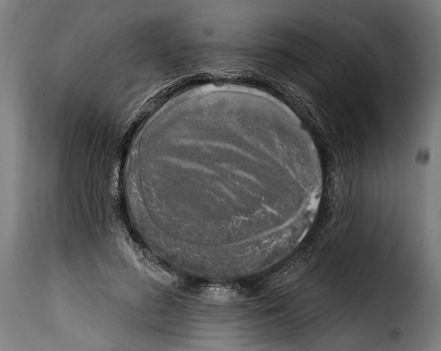 X0000115010596200911231229