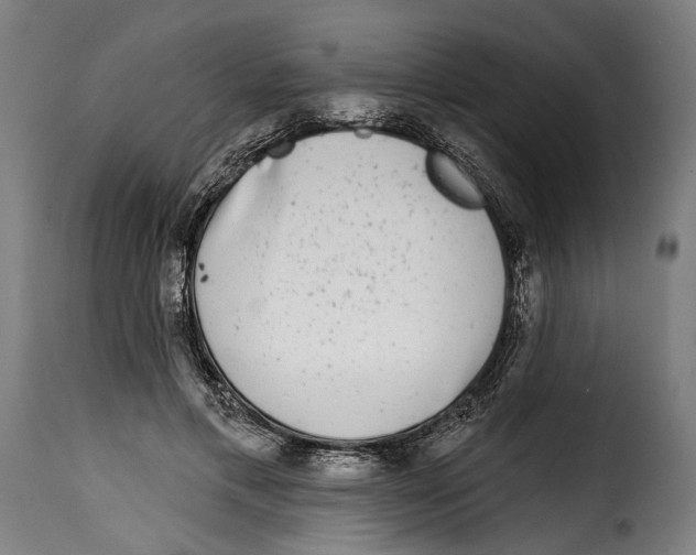 X0000115010597200911231229