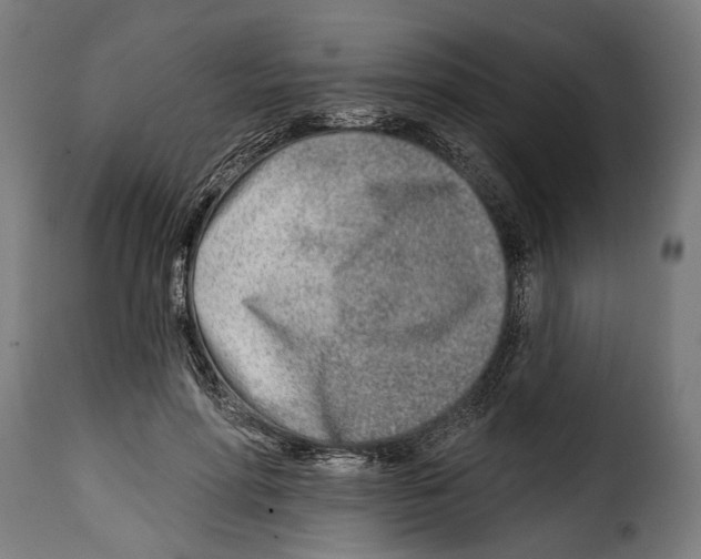 X0000115010598200911231229