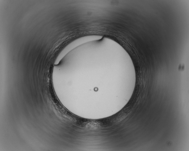X0000115010599200911231229