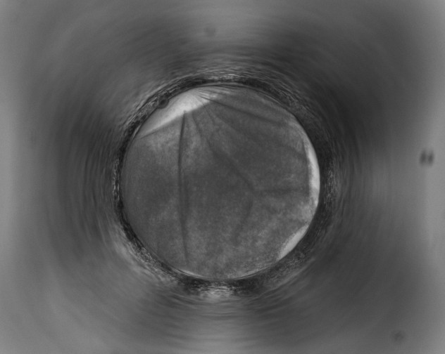 X0000115010600200911231229