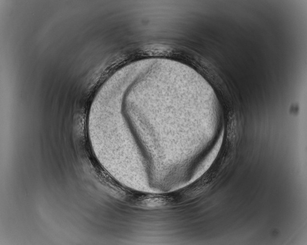 X0000115010604200911231228