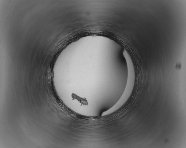 X0000115010609200911231228